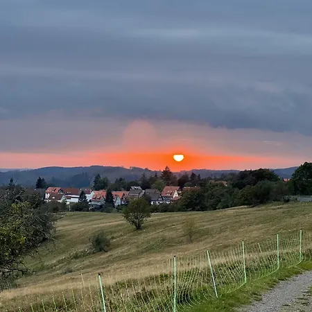 Апартаменты Hexenstieg Санкт-Андреасберг